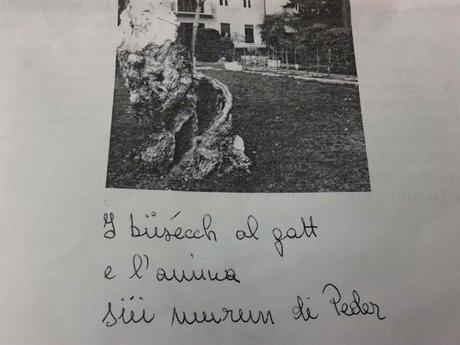 IL NINO ovvero SULL'INTRANSIGENZA