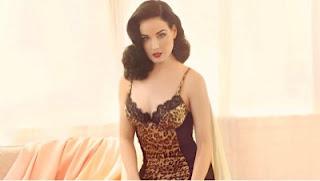 Dita Von Teese lingerie