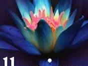 Esce oggi "Illusions" Aprilynne Pike