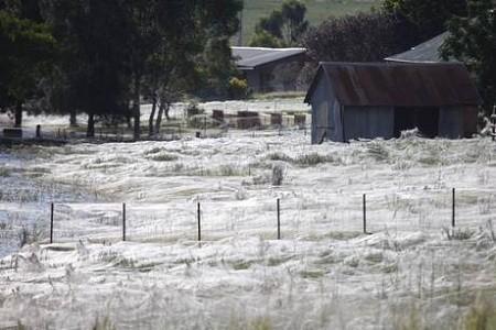 australia inondazioni Australia 13mila evacuati per inondazioni