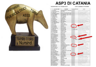 Nursind ,abbandona l'indipendenza infermieristica