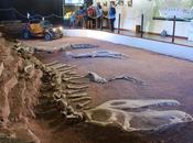 Dinosauri impossibili