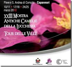 camelie2012