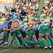 Fotogallery Benetton-Cardiff Blues