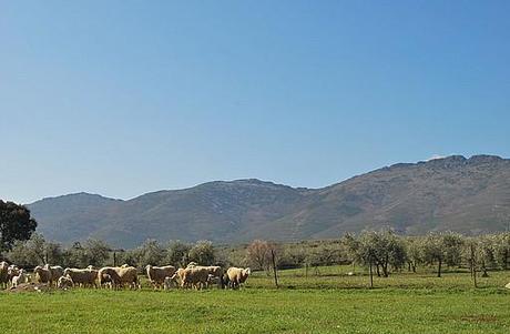 Castilla La Mancha: quando la natura domina!