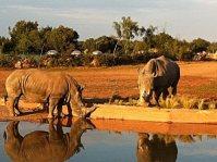 Il Nuovo Parco Zoologico di Rabat