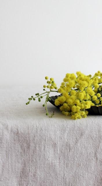 Il regno delle donne... Il regno delle donne...