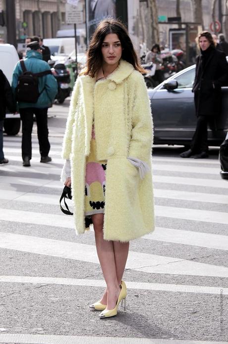 In the Street...Women's Day...Eleonora in yellow mimosa, Paris