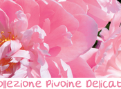 Preview L'OCCITANE: Collezione Pivoine Délicate