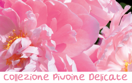 Preview L'OCCITANE: Collezione Pivoine Délicate