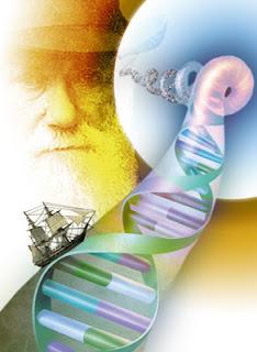 Nel cibo oltre che i nutrienti anche le informazioni per il nostro DNA