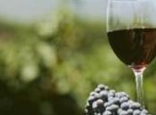 Partinico (PA): beni euro confiscati imprenditore settore vitivinicolo