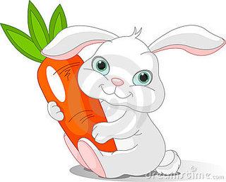 Bocconcini alla carota