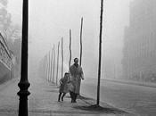 L'ombra Vento_Carlos Luiz Zafòn