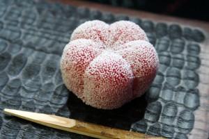 I dolci di Kyoto.  「 京都和菓子」