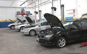 Ve lo immaginate il salumiere, il meccanico, senza il bollino blu? Mentre a poche centinaia di metri un suo collega l’ha esposto in bella vista.