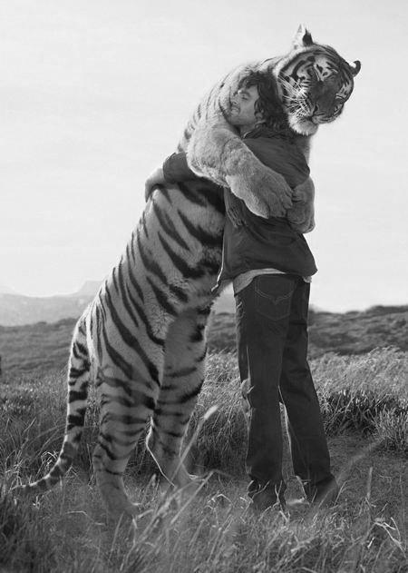 Leone Abbraccia Uomo Leone Abbraccia Uomo, la foto più bella del web