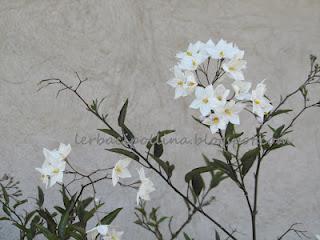 Aspettando la primavera