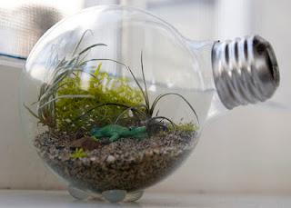 [IDEA RICICLO] Riciclare le vecchie lampadine - Upcycling Light Bulbs