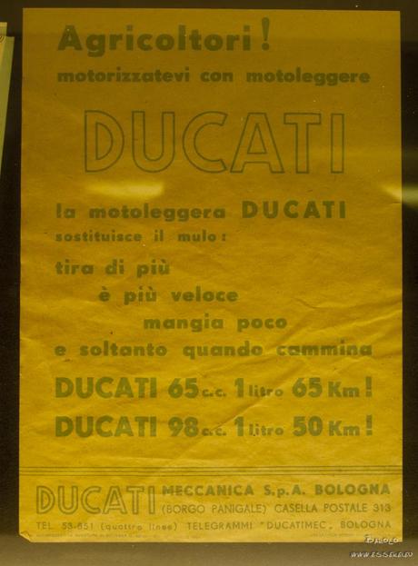 DOC GOrizia al Tempio Ducati