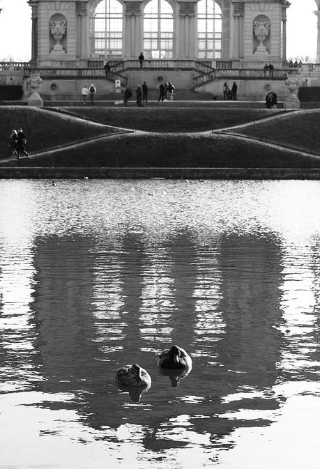 sun, bubbles and squirrels at Schounbrunn palace!