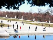 sun, bubbles squirrels Schounbrunn palace!