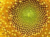 legge universale