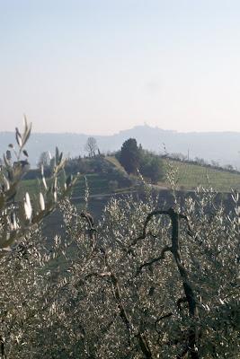 Una strada del tartufo per la Toscana. Sabato 17 marzo la tavola rotonda a San Miniato