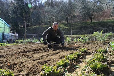 ridare vita all'orto