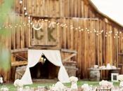 Country Chic Wedding Ideas...