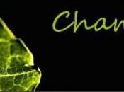 Chameleon: Come scomparire tasto programmi dovresti tenere aperti