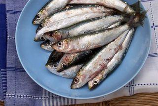 Tartine con pâté di sardine