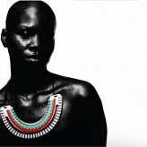 ndebele a spina di pesce