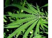 Stato l’antistato, verbo congiunzione