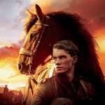 War Horse 03