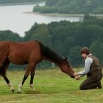 War Horse 08