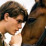 War Horse 09