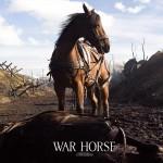 War Horse 11