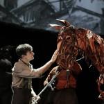 War Horse 17