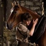 War Horse 12