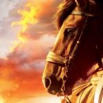 War Horse 05