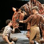 War Horse 02