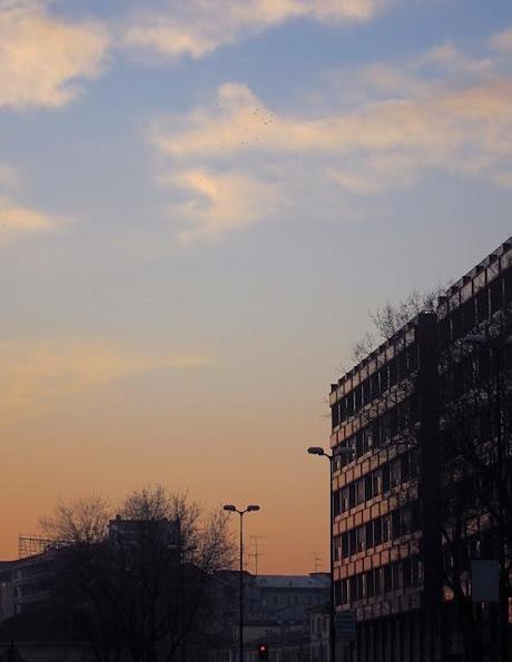 Rimini Venerdi Sera, Milano Ogni Sera