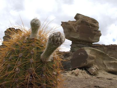 Ischigualasto il luogo ove tramonta la luna, formazione geologica appartenente all'epoca del Triassico.