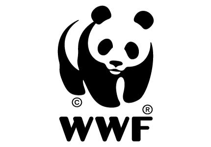 L’Ora della Terra: evento globale del WWF. Il 31 marzo