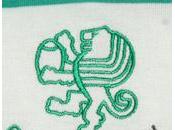 Treviso, braccio rotto torneo minirugby: storiaccia finita azzeccagarbugli