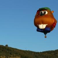 festival mongolfiere australia