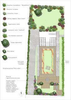 Giardini senza polline