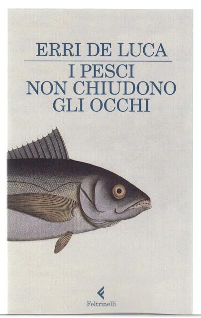 I pesci non chiudono gli occhi. I pesci non chiudono gli occhi.
