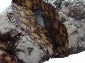 Salame cioccolato